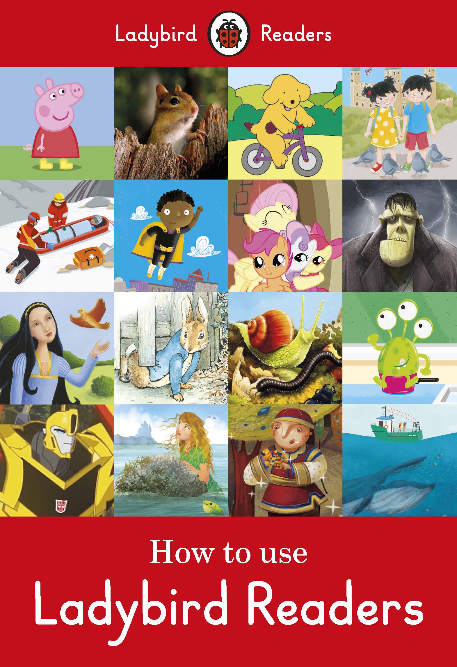 How to use Ladybird Readers