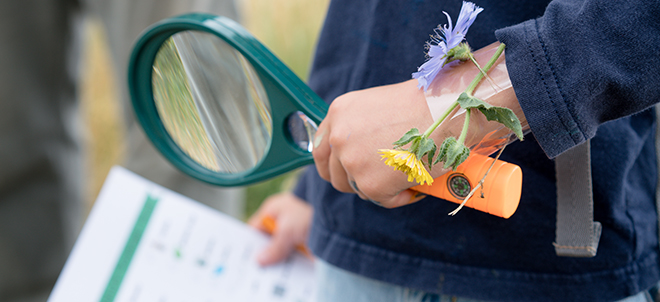 6 Outdoor Reading Activities to Engage Young Readers